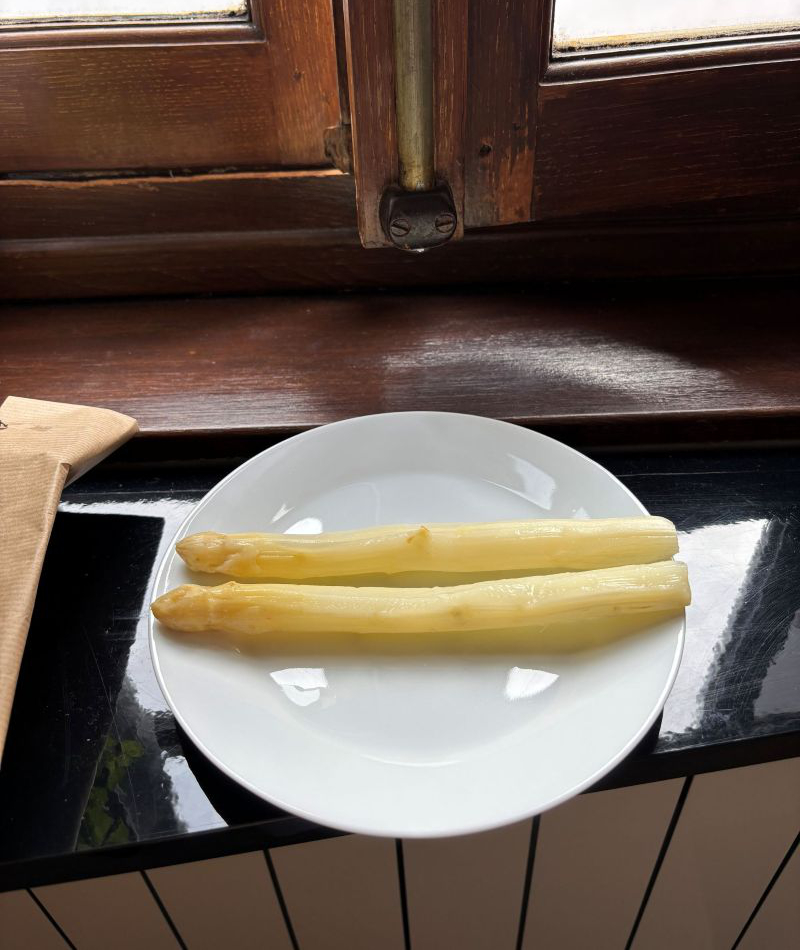 フランスの留学