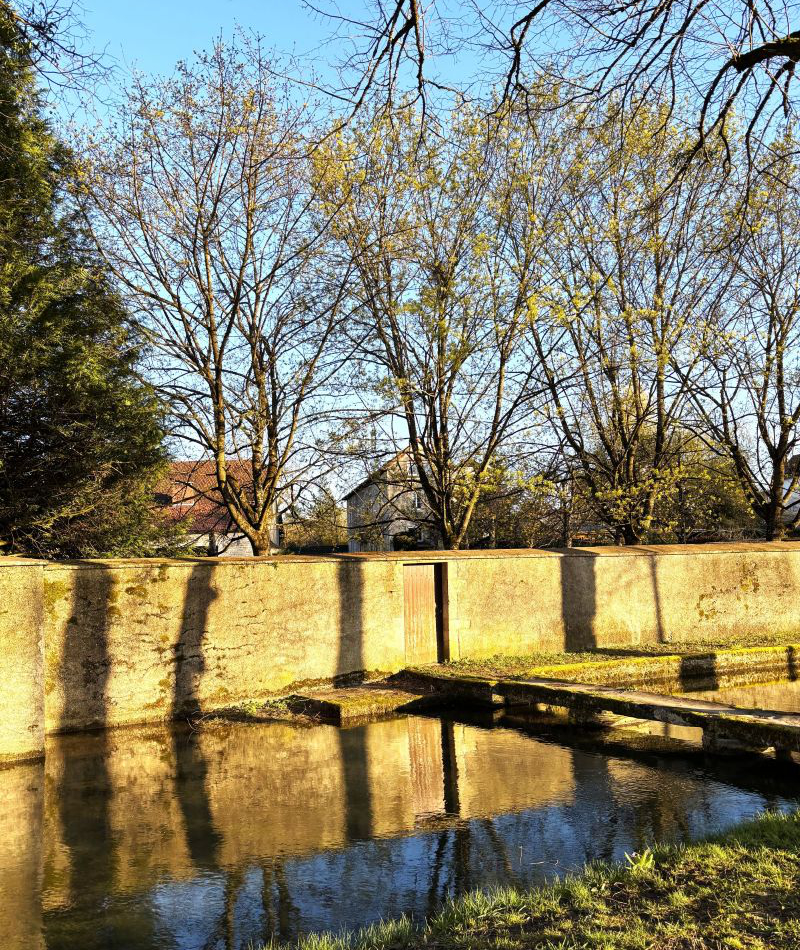 フランス語留学