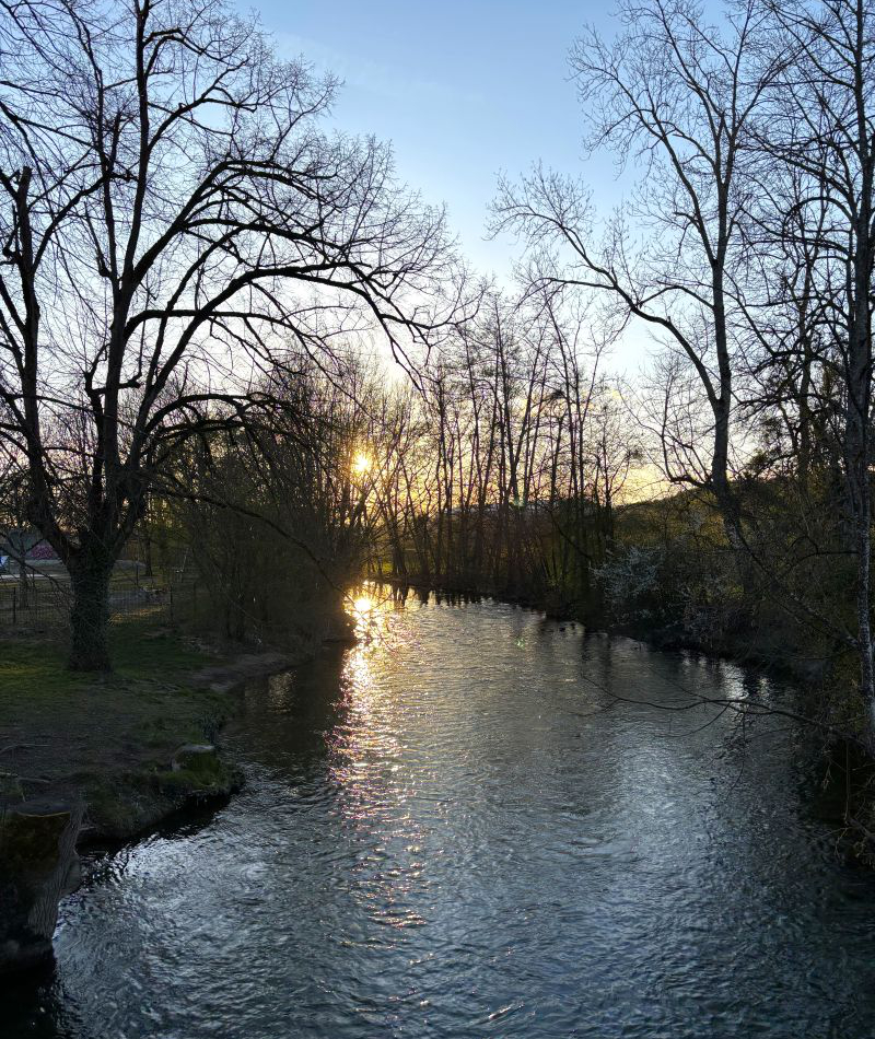 フランス語留学