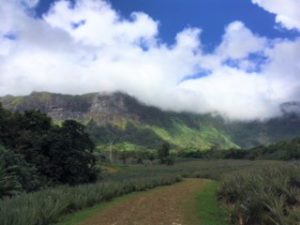 フランス語学校・スタッフのタヒチ旅行