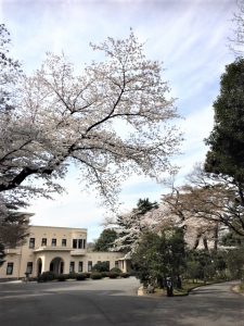 フランス語学校のブログ