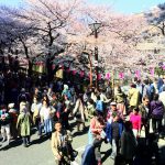 フランス語学校のブログ、目黒川