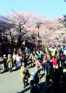 フランス語学校のブログ、目黒川