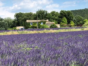 フランス語学校