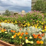 恵比寿の屋上庭園：フランス語学校のそばでリラックス